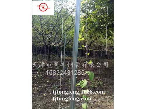 ����ϵ��