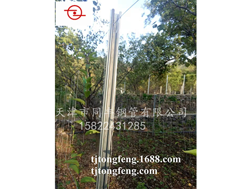 ����ϵ��