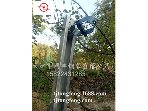 ����ϵ��